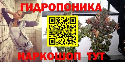 мдпв Краснодар