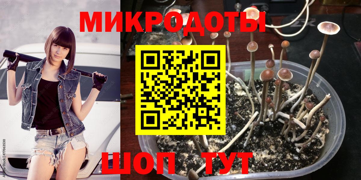 Псилоцибиновые грибы MAGIC MUSHROOMS  Псилоцибиновые грибы GOLDEN TEACHER  Югорск  даркнет сайт  Вход с VPN 